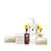 VitaSkin™ Calm Skin Chamomile Collection